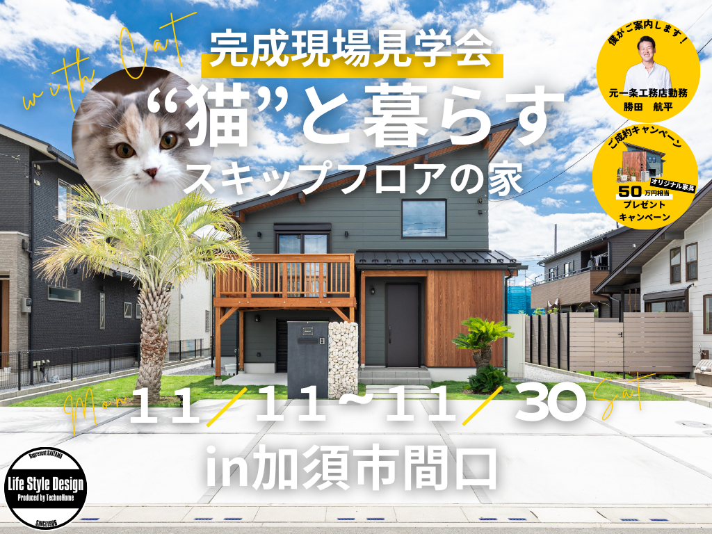 【イベント情報】“猫”と暮らすスキップフロアの家【埼玉県加須市の新築】 アイチャッチ